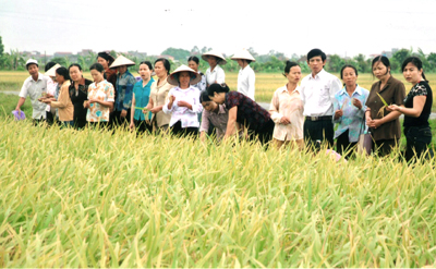 Hiệu quả hoạt động hỗ trợ phụ nữ phát triển kinh tế ở tỉnh Hưng Yên